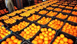 توزیع میوه شب عید از ۲۲ اسفند در سراسر کشور آغاز می‌شود