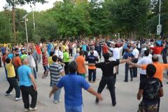 ورزش همگانی البرز در مسیر موفقیت