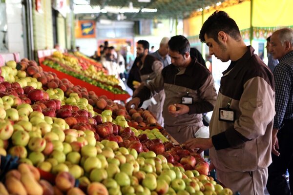 بازگشت ساعات کاری میادین و بازارهای میوه و ترهبار به قبل بازگشت ساعات کاری میادین و بازارهای میوه و ترهبار به قبل