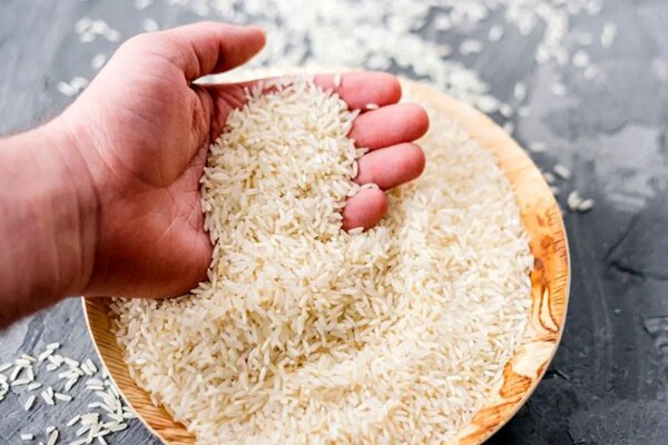 گرانی برنج زیر ذرهبین نهادهای قضایی؛ برخورد با تخلفات بازار کالا گرانی برنج زیر ذرهبین نهادهای قضایی؛ برخورد با تخلفات بازار کالا