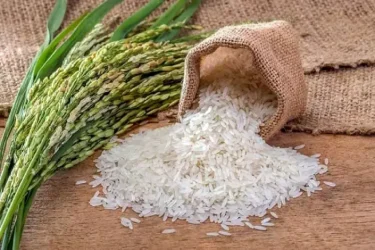قیمت مصوب برنج در بازار اعلام شد