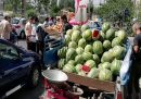 طرح سه‌مرحله‌ای شهرداری تهران به هرج‌ومرج وانت‌بارها پایان می دهد؟