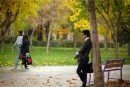 ۱۷ میلیون جوان مجرد زیر ۴۵ سال در کشور؛ راه اندازی بانک ویژه جوانان