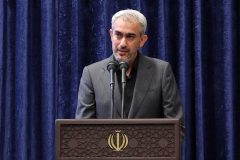 مدنی زاده: طرح ملی اعتبار ایرانیان اجرایی می شود