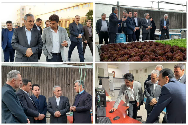 یکشنبه های صنعتی رباط‌کریم / بررسی میدانی مسائل تولید در بازدید فرماندار از روستای یقه + فیلم و عکس