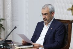 مدنی زاده: دولت پیگیر تامین سرمایه در گردش تولیدکنندگان کالاهای اساسی است