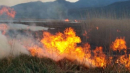 آتش‌سوزی گسترده در نیزارهای رودشور پرند+فیلم