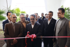 افتتاح و بازدید از پروژه‌ های صنعتی، جاده‌ای و روشنایی رباط‌کریم و پرند در دهه فجر + تصاویر