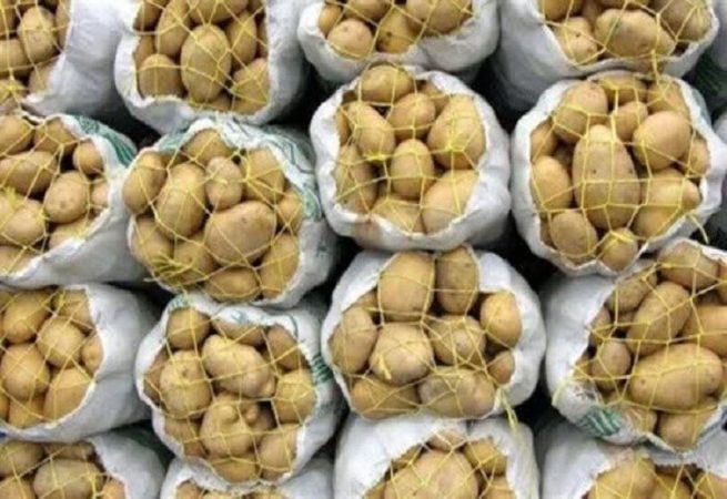 سازمان توسعه تجارت؛ صادرات تخم‌مرغ، سیب‌زمینی، گوجه‌فرنگی و خرما ممنوع شد