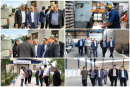 یکشنبه‌ های صنعتی/ بازدید میدانی فرماندار رباط‌کریم از چرخه تولید و صنعت + فیلم و تصاویر