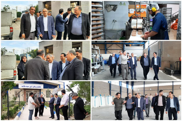 یکشنبه‌ های صنعتی/ بازدید میدانی فرماندار رباط‌کریم از چرخه تولید و صنعت + فیلم و تصاویر