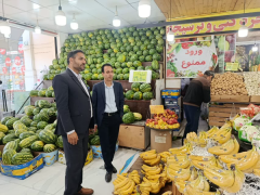 برخورد قاطع با تخلفات صنفی در رباط‌کریم/ یک واحد متخلف در گشت مشترک نظارتی پلمپ شد + عکس