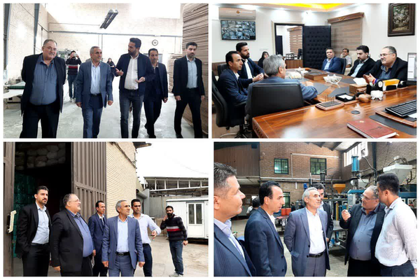 یکشنبه‌ های صنعتی / بازدید میدانی فرماندار رباط‌کریم از واحدهای صنعتی نصیرآباد + فیلم و تصاویر