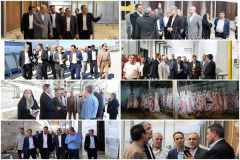 یکشنبه‌ های صنعتی/ حل مشکلات سوخت و گاز واحدهای کشاورزی و صنعتی رباط‌کریم + فیلم و تصاویر