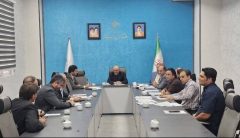 حمید برزا سرپرست شهرداری رباط‌کریم شد